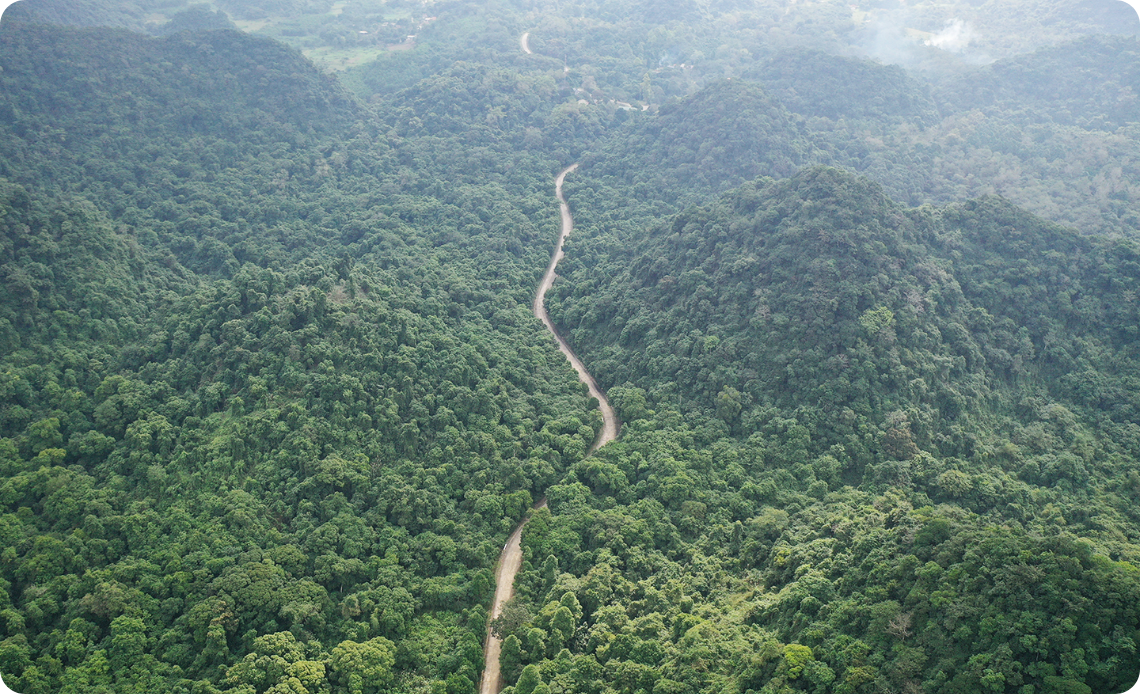 Parc national de Cuc Phuong Situé dans le district de Nho Quan, dans la province de Ninh Binh, le Parc national de Cuc Phuong forme une frontière naturelle entre les provinces de Ninh Binh, Hoa Binh et Thanh Hoa